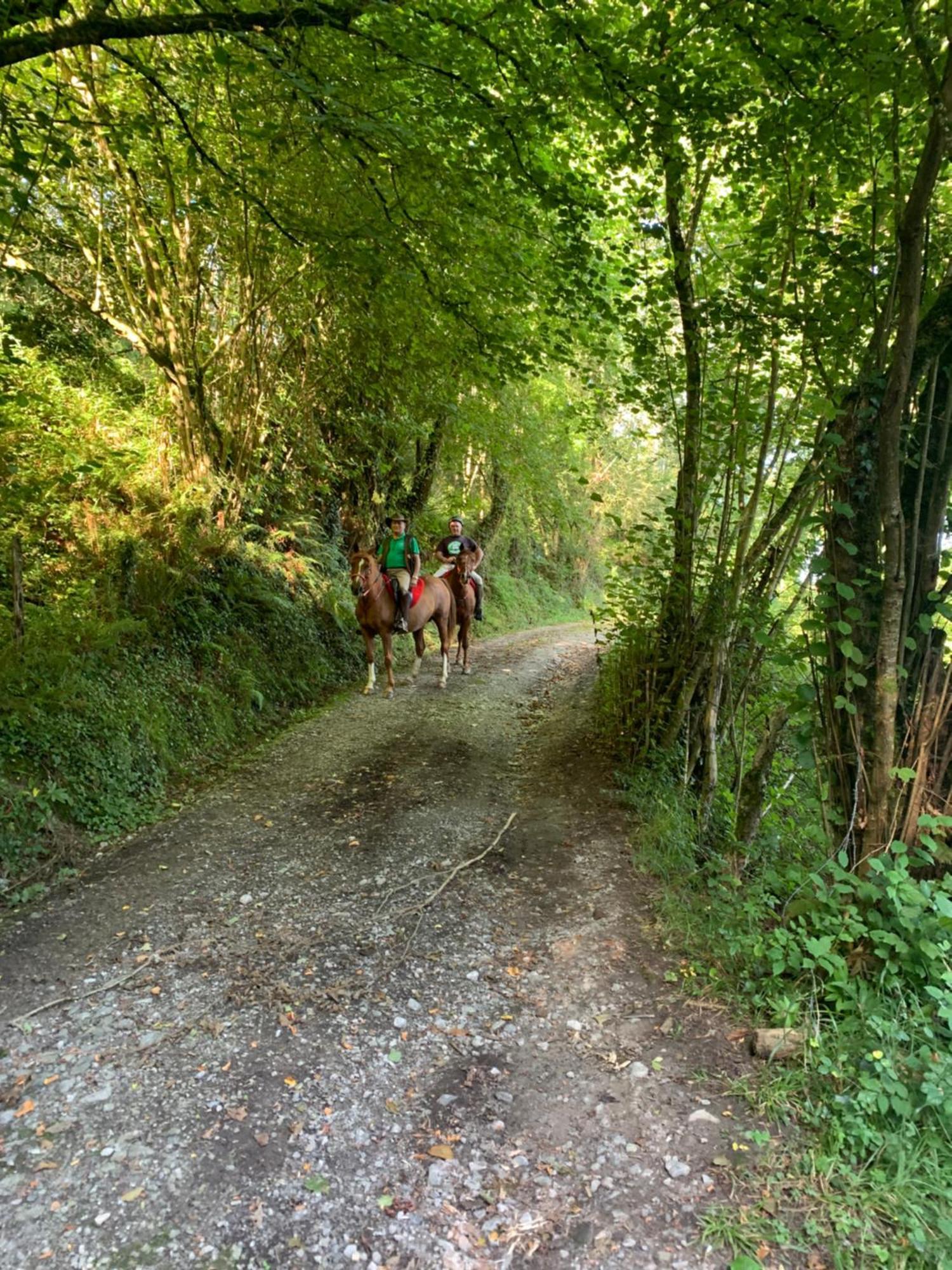 Agroturismo Gure Naia Karrantza Kültér fotó