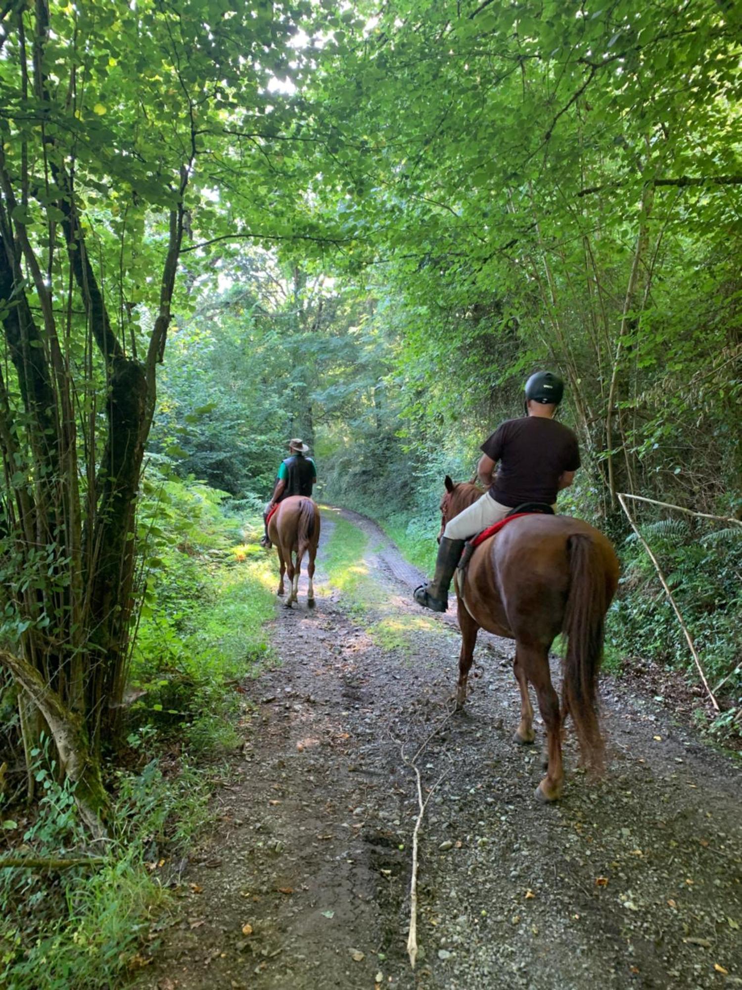 Agroturismo Gure Naia Karrantza Kültér fotó